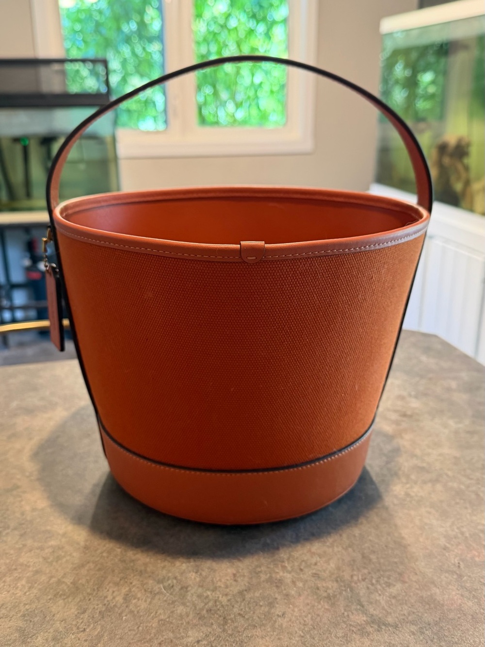 Coach pumpkin tote - Picture 2 of 3